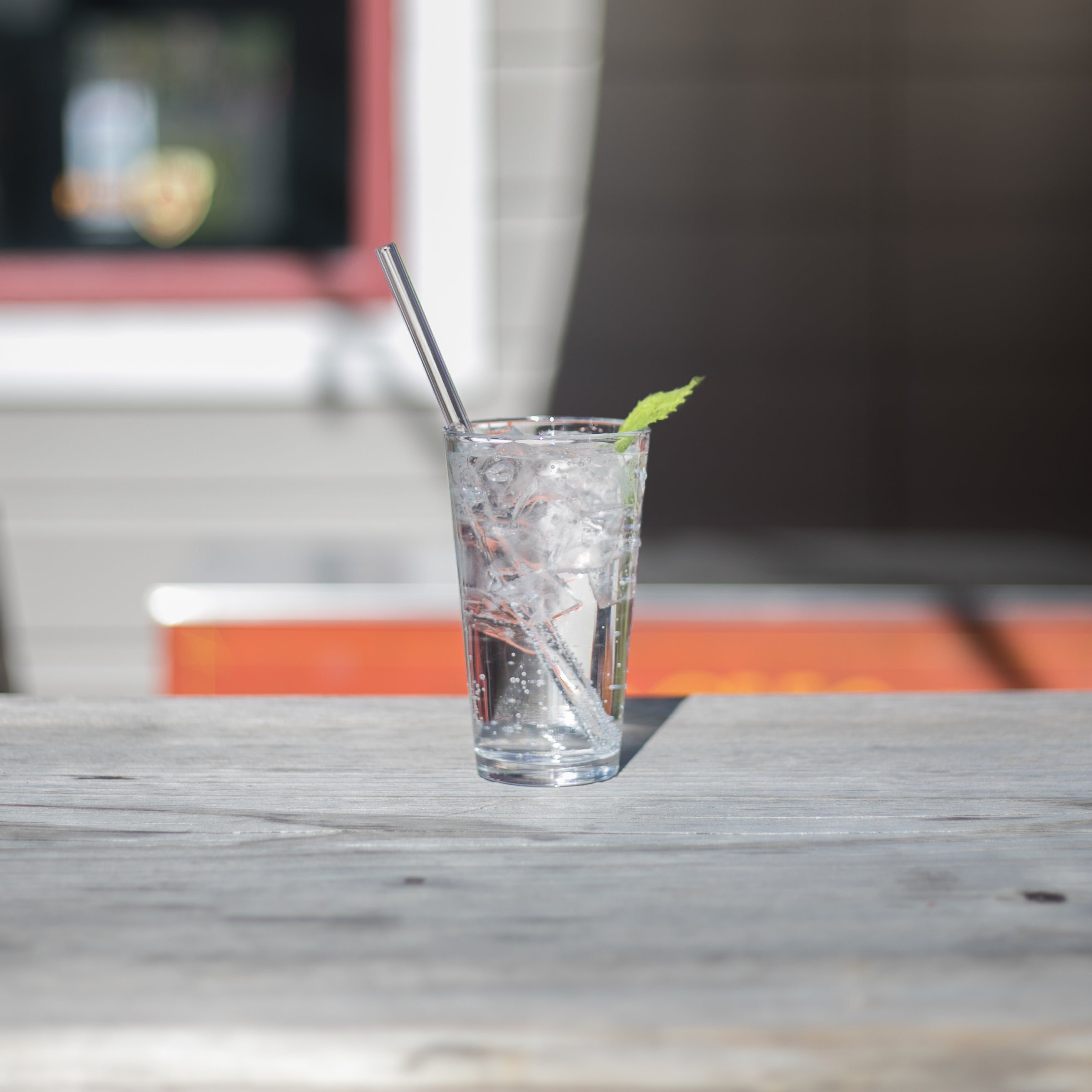 Reusable Glass Straws - Scout